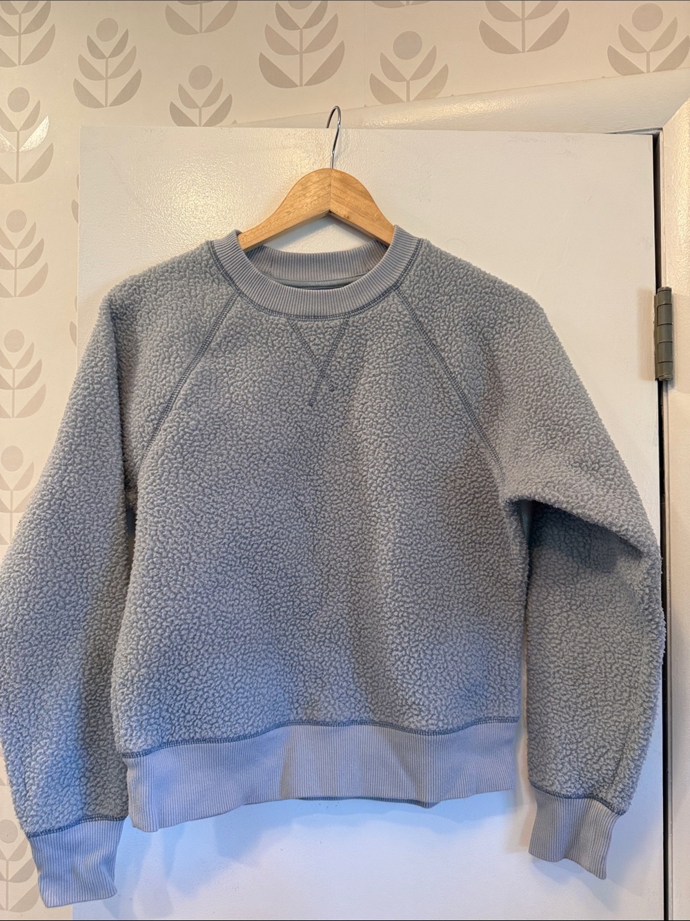 Everlane Cozy Women's Teddy Fleece Crewneck Sweater - Light blue